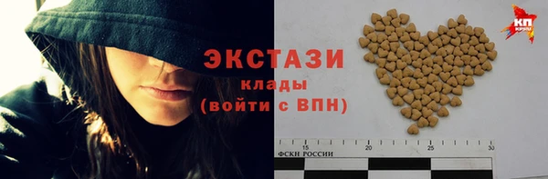 МДПВ Снежинск