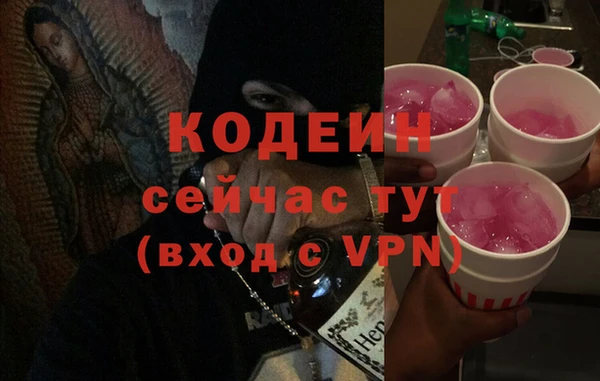 МДПВ Снежинск