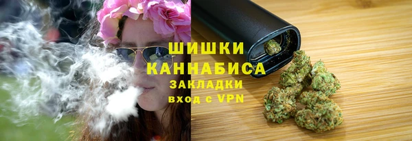 МДПВ Снежинск
