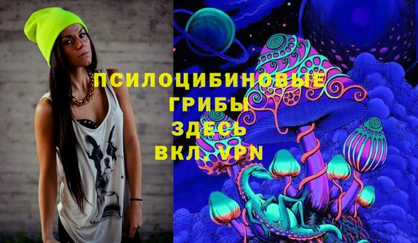 МДПВ Снежинск